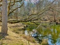 Beaverdam Lake and Bird Sanctuary