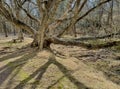 Beaverdam Lake and Bird Sanctuary