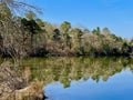 Beaverdam Lake and Bird Sanctuary