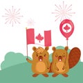 Beavers with canadian flag and balloon vector design