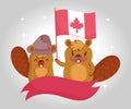 Beavers with canadian flag and ribbon vector design