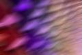 Beavertail blurred neon background. magic Royalty Free Stock Photo