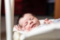 Bebe with yellow and white body lying on baby hammock Royalty Free Stock Photo