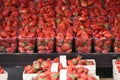 Cups of fresh strawberries at the weekly market in Gmunden Royalty Free Stock Photo