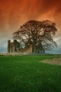 Bective Abbey Royalty Free Stock Photo