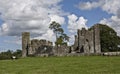 Bective Abbey Royalty Free Stock Photo