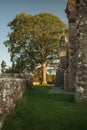 Bective abbey in ireland