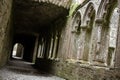 Bective Abbey