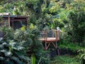 Bed and Breakfast place hidden in the Hawaii jungle