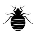 Bed bug. Black silhouette of an insect on white background. Bedbug vector illustration. A symbol of the danger of bug bite