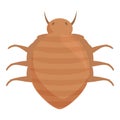 Bed bug crawling, showing its anatomy Royalty Free Stock Photo