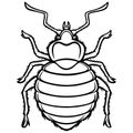 Bed Bug Graphic Illustration