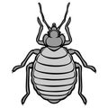Bed Bug Icon Illustration