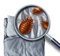Bed Bug Infestation Royalty Free Stock Photo