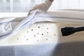 Bed Bug Infestation And Treatment Service Royalty Free Stock Photo