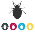 Bed Bugs - Genus Cimex - Stock Illustration