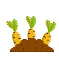 Bed with the carrot. Cartoon flat illustration Royalty Free Stock Photo