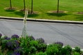 Bed of colorful prairie flowers in an urban environment attractive to insects and butterflies, mulched by gravel. on the corners o Royalty Free Stock Photo