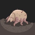 Bed dust mite vector icon Royalty Free Stock Photo