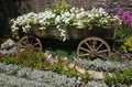 Bed with flowers issued old rural style Royalty Free Stock Photo