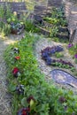 Bed A modern designer garden. Using natural materials. And the selection of plants for compatibility Royalty Free Stock Photo