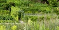 Bed A modern designer garden. Using natural materials. And the selection of plants for compatibility Royalty Free Stock Photo