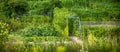 Bed A modern designer garden. Using natural materials. And the selection of plants for compatibility Royalty Free Stock Photo