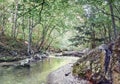 The bed of the mountain river Auzun-Uzen, the Great Crimean Canyon, Crimea peninsula