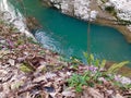 Bed of a mountain river in early spring Royalty Free Stock Photo