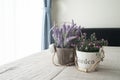 The bed with purple lavender flower and pink rose flower on flowerpot.