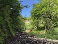 The bed of the river Rak with a canyon and limestone rocks, Cerknica - Notranjska Regional Park, Slovenia Royalty Free Stock Photo