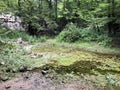 The bed of the river Rak with a canyon and limestone rocks, Cerknica - Notranjska Regional Park, Slovenia Royalty Free Stock Photo