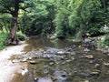 The bed of the river Rak with a canyon and limestone rocks, Cerknica - Notranjska Regional Park, Slovenia Royalty Free Stock Photo