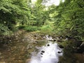 The bed of the river Rak with a canyon and limestone rocks, Cerknica - Notranjska Regional Park, Slovenia Royalty Free Stock Photo