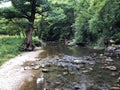 The bed of the river Rak with a canyon and limestone rocks, Cerknica - Notranjska Regional Park, Slovenia Royalty Free Stock Photo