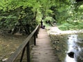 The bed of the river Rak with a canyon and limestone rocks, Cerknica - Notranjska Regional Park, Slovenia Royalty Free Stock Photo