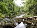 The bed of the river Rak with a canyon and limestone rocks, Cerknica - Notranjska Regional Park, Slovenia Royalty Free Stock Photo