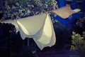 White bed sheets spread to dry in the sun Royalty Free Stock Photo