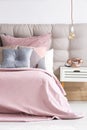 Bed with soft pink coverlet Royalty Free Stock Photo