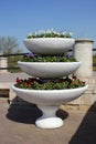 Bed in three tiers with blooming pansies Royalty Free Stock Photo