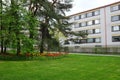 Bed of tulips, lawn and pine trees in a residential area