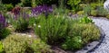 Bed with variety of herbs like chive, rosemary, sage in the sun