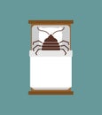 Bedbug in bed. chinch insect vector illustration Royalty Free Stock Photo