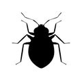 Bedbug black silhouette. Pest insect icon. Symbol of pets control service or bite spray.