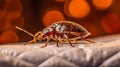 Bedbug Close up of Cimex hemipterus bed bug on bed background , generated by AI Royalty Free Stock Photo