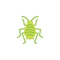 Bedbug insect flat icon Royalty Free Stock Photo