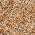 Bedding for cattle texture. Natural dry straw seamless pattern Royalty Free Stock Photo