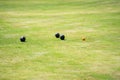 Bedford, Bedfordshire, UK. May 19,2019.Bowls or lawn bowls. Free community event in Bedford park Royalty Free Stock Photo