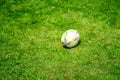 Bedford, Bedfordshire, UK. May 19,2019. A rugby ball is an elongated ellipsoidal ball used in rugby football