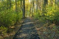 Handicap Accessible Walking Trail at the Peaks of Otter Royalty Free Stock Photo